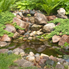 Aquascape DIY Backyard Pond Kits