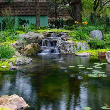 Aquascape Large Pond Kit 21′ X 26′