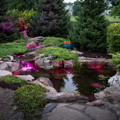 Aquascape Medium Deluxe Pond Kit 11′ X 16′ with AquaSurge® 2000-4000 Adjustable Flow Pond Pump
