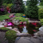 Aquascape Medium Deluxe Pond Kit 11′ X 16′ with AquaSurge® 2000-4000 Adjustable Flow Pond Pump
