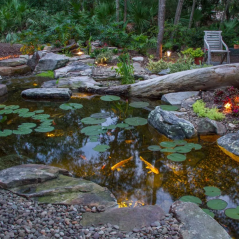 Aquascape Large Deluxe Pond Kit 21′ X 26′ with AquaSurge® 4000-8000 Adjustable Flow Pond Pump