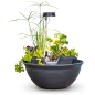 Aquascape AquaGarden Tabletop Fountain Kit