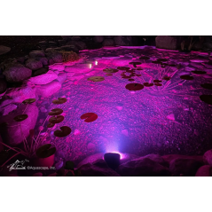 Aquascape Wide-Angle Light 8-Watt