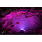 Aquascape Wide-Angle Light 8-Watt