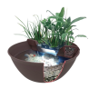Mini Ponds