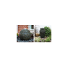 Urns/Spheres