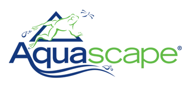 Aquascape