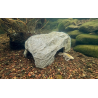 Plant and Fish Care