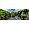 Water Feature Kits