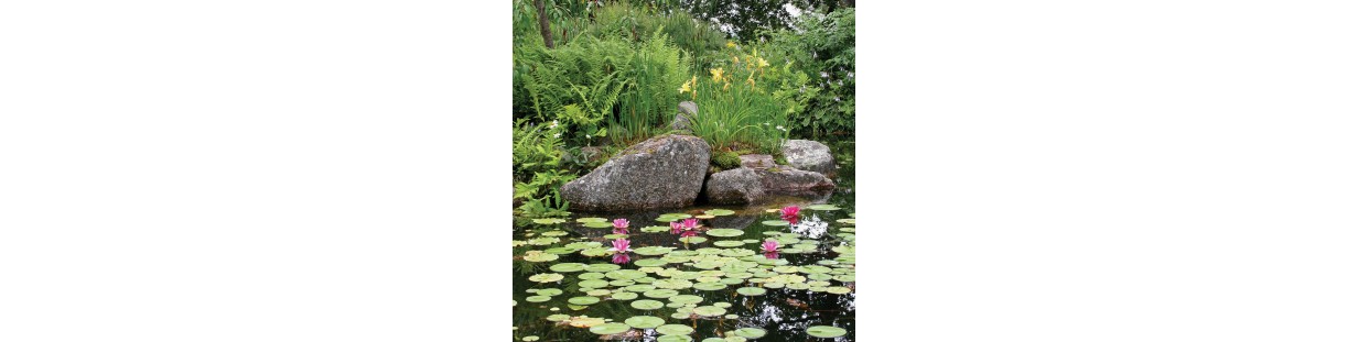 Pond Kits