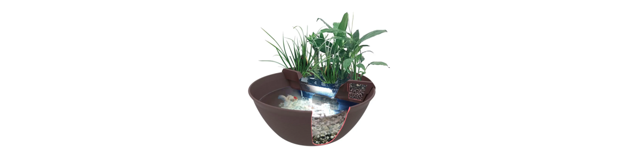 Mini Ponds